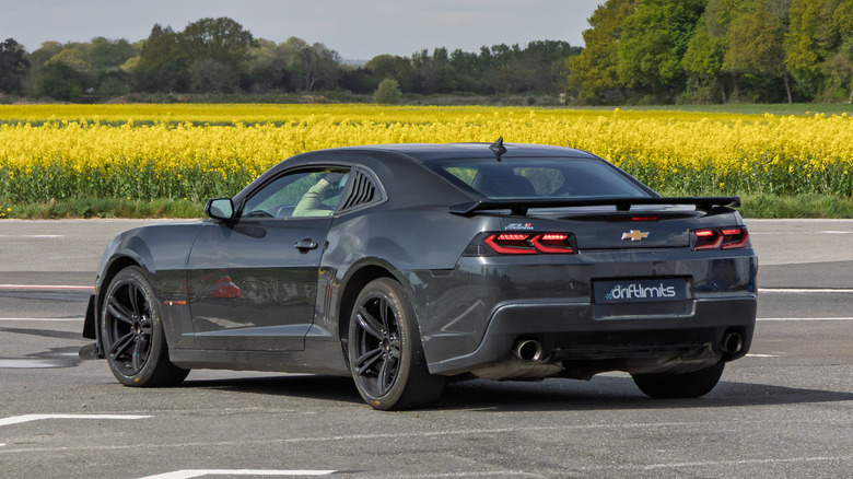 3/4-Hinteransicht eines schwarzen Chevy Camaro ZL1 auf einem Parkplatz mit einem Feld aus gelben Blumen und Bäumen im Hintergrund