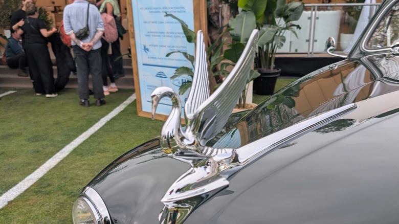 Eine Nahaufnahme der Pelikan-Kühlerfigur eines Packard Super Eight