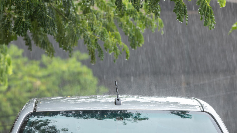 Das Dach eines Autos zeigt, dass es während eines Regensturms unter einem Zug geparkt ist, eine neue Angst, die sich für Ihren Lack auslöst.