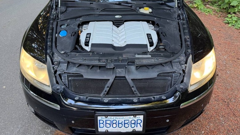 2005 Volkswagen Phaeton W12 2+2 6.0 W12-Motor im Phaeton-Bild