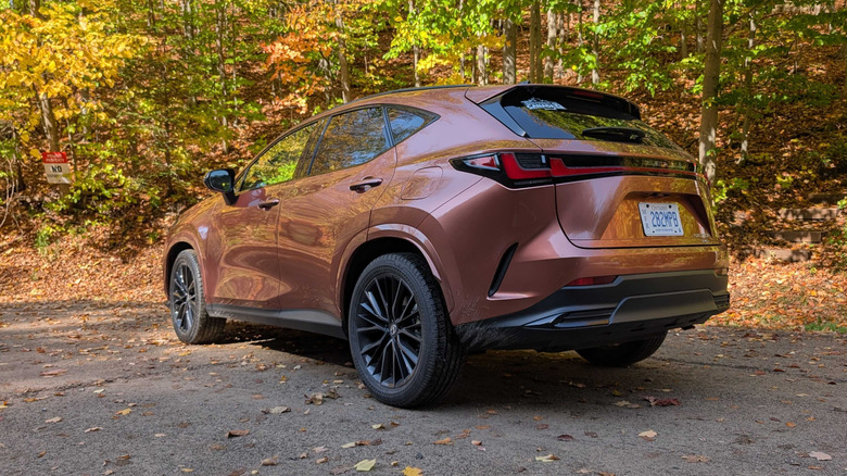3/4-Hinteransicht eines 2027 Lexus NX, der vor einigen Herbstbäumen geparkt ist